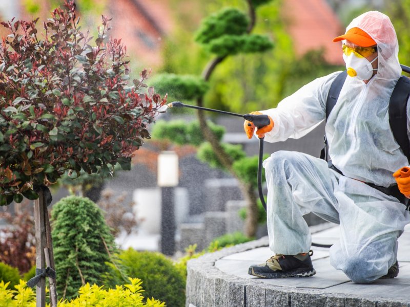 Seyhan Haşere İlaçlama